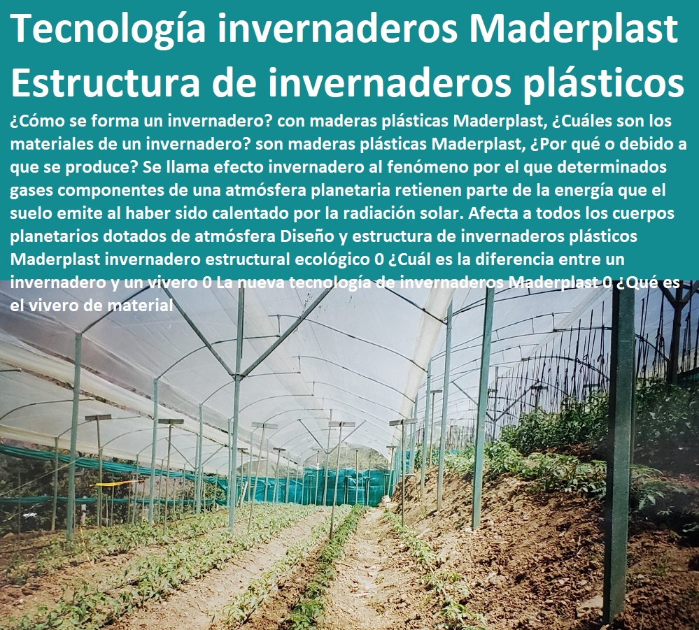 Diseño y estructura de invernaderos plásticos Maderplast invernadero estructural ecológico 0 ¿Cuál es la diferencia entre un invernadero y un vivero 0 La nueva tecnología de invernaderos CULTIVOS TECNIFICADOS, INVERNADEROS, Semilleros, Bancos De Siembra, Hidroponía, Agricultura, Cosecha, Poscosecha, Tutores para Flores cable vía Bananas Aromáticas, Maderplast 0 ¿Qué es el vivero de material Diseño y estructura de invernaderos plásticos Maderplast invernadero estructural ecológico 0 ¿Cuál es la diferencia entre un invernadero y un vivero 0 La nueva tecnología de invernaderos Maderplast 0 ¿Qué es el vivero de material